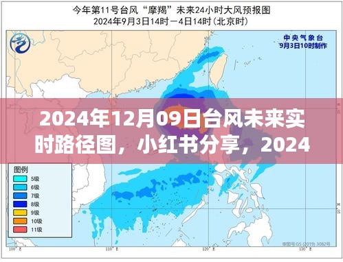 掌握天气动态，小红书分享台风未来实时路径图，安全出行必备