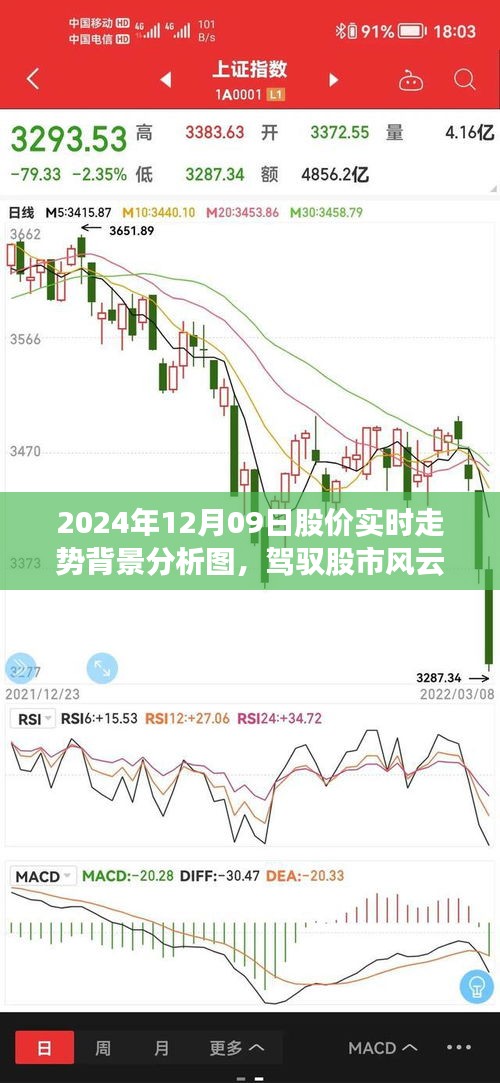 建议，驾驭股市风云，揭秘2024年12月09日股价实时走势背景分析图