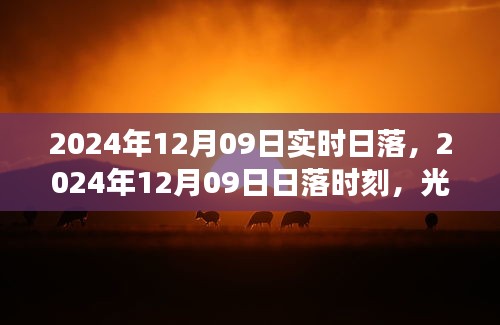 光影交织的壮丽瞬间，2024年12月09日日落时刻实拍日落美景