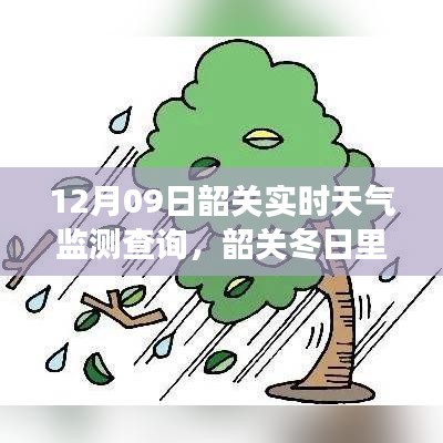 韶关暖心时光，冬日天气监测与欢乐聚会