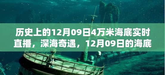 12月09日海底探秘，深海奇遇与实时直播揭秘