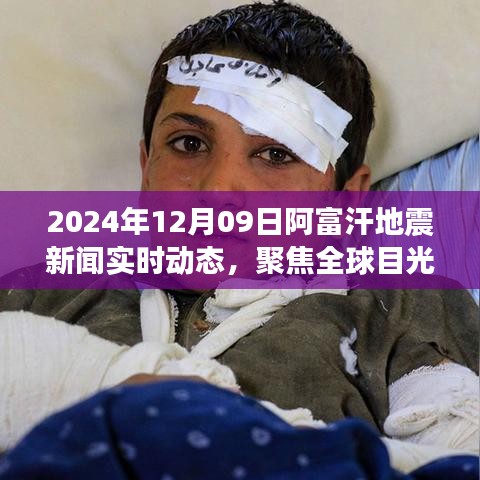 全球聚焦，阿富汗地震实时动态新闻报道（2024年）