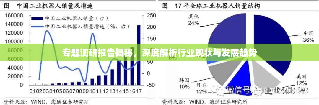 专题调研报告揭秘，深度解析行业现状与发展趋势