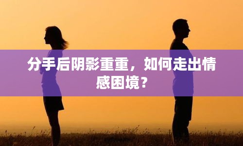 分手后阴影重重，如何走出情感困境？