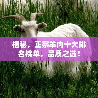 揭秘，正宗羊肉十大排名榜单，品质之选！