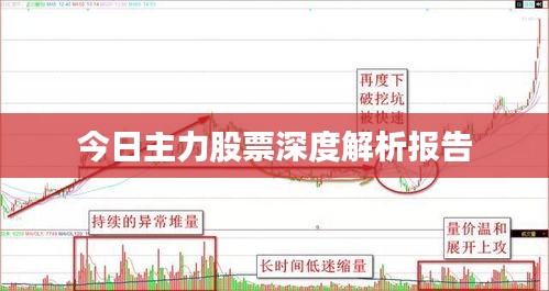 今日主力股票深度解析报告