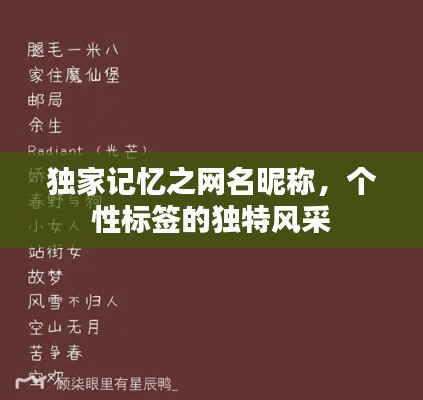 独家记忆之网名昵称，个性标签的独特风采