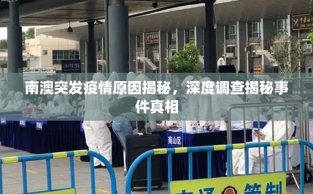 南澳突发疫情原因揭秘，深度调查揭秘事件真相