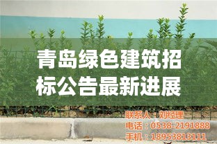 青岛绿色建筑招标公告最新进展，把握绿色建筑商机，共创绿色未来！