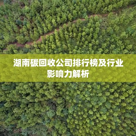 湖南碳回收公司排行榜及行业影响力解析