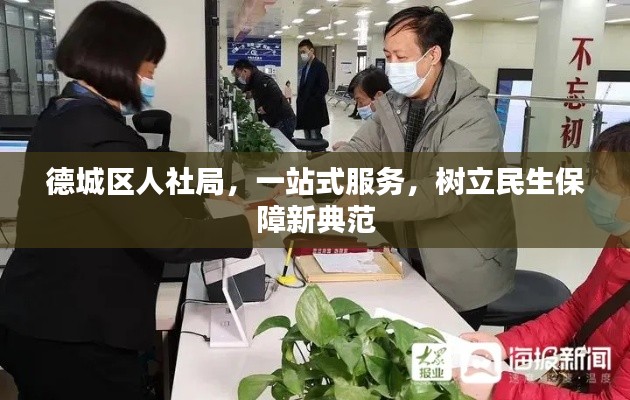 德城区人社局，一站式服务，树立民生保障新典范