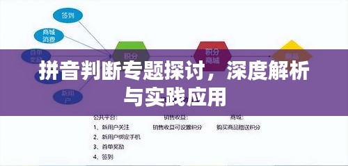 拼音判断专题探讨，深度解析与实践应用