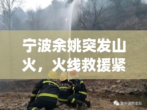 宁波余姚突发山火，火线救援紧急行动与事件反思