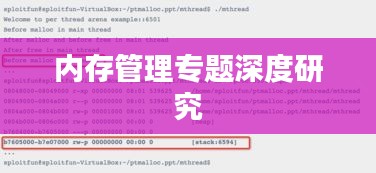 内存管理专题深度研究