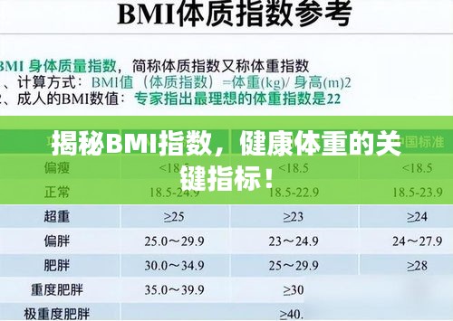 揭秘BMI指数，健康体重的关键指标！