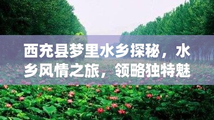 西充县梦里水乡探秘，水乡风情之旅，领略独特魅力