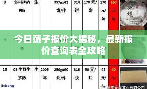 今日燕子报价大揭秘，最新报价查询表全攻略