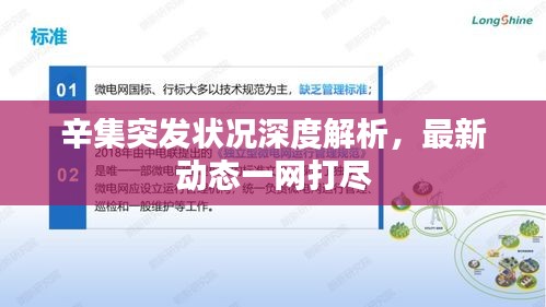 辛集突发状况深度解析，最新动态一网打尽