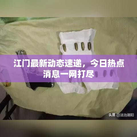 江门最新动态速递，今日热点消息一网打尽