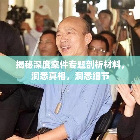 揭秘深度案件专题剖析材料，洞悉真相，洞悉细节