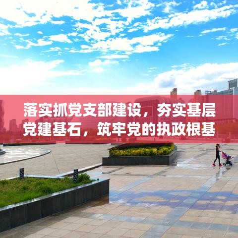 落实抓党支部建设，夯实基层党建基石，筑牢党的执政根基