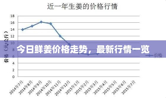 今日鲜姜价格走势，最新行情一览