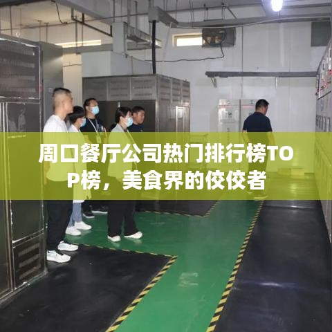 周口餐厅公司热门排行榜TOP榜，美食界的佼佼者