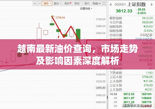 越南最新油价查询，市场走势及影响因素深度解析