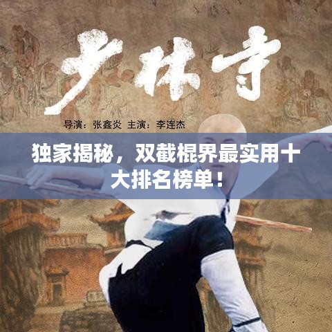 独家揭秘，双截棍界最实用十大排名榜单！