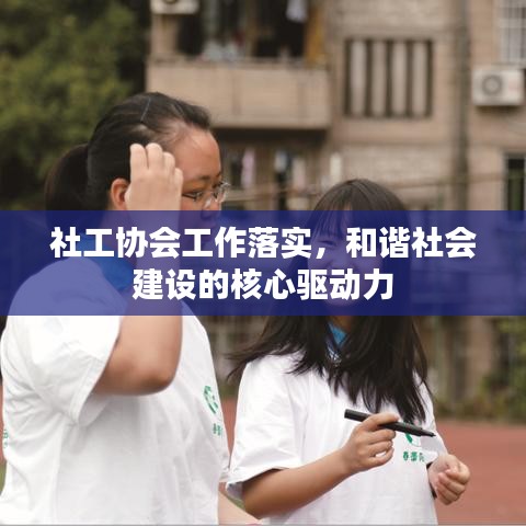 社工协会工作落实，和谐社会建设的核心驱动力