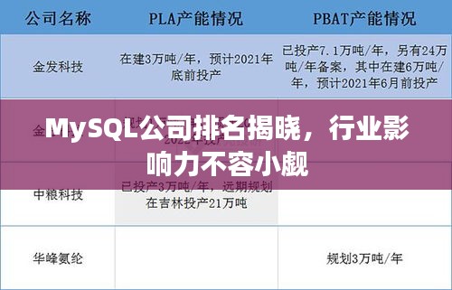 MySQL公司排名揭晓，行业影响力不容小觑