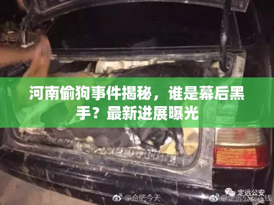 河南偷狗事件揭秘，谁是幕后黑手？最新进展曝光