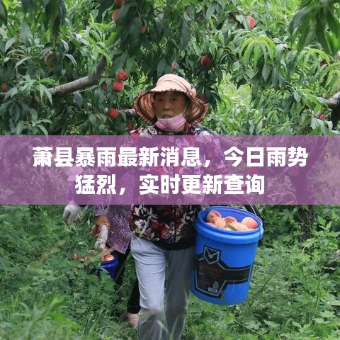 萧县暴雨最新消息，今日雨势猛烈，实时更新查询