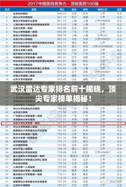 武汉雷达专家排名前十揭晓，顶尖专家榜单揭秘！