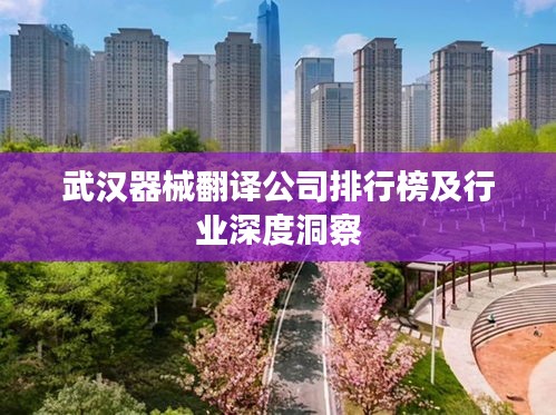 武汉器械翻译公司排行榜及行业深度洞察