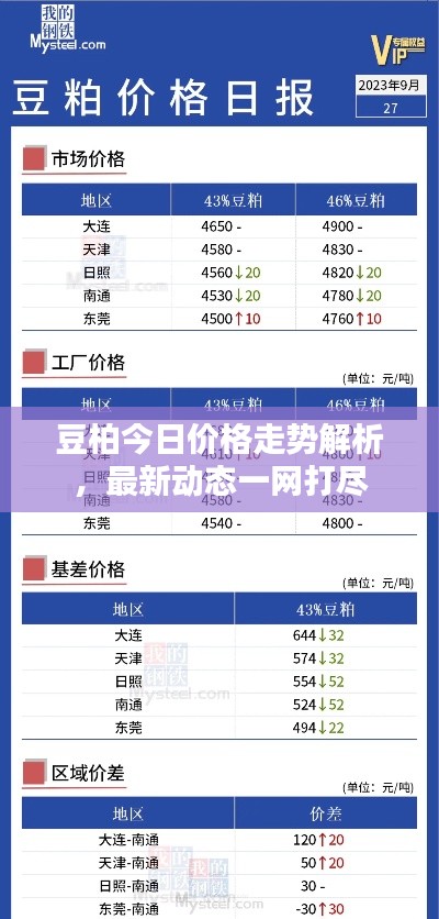 豆柏今日价格走势解析，最新动态一网打尽