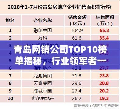 青岛网销公司TOP10榜单揭秘，行业领军者一网打尽！