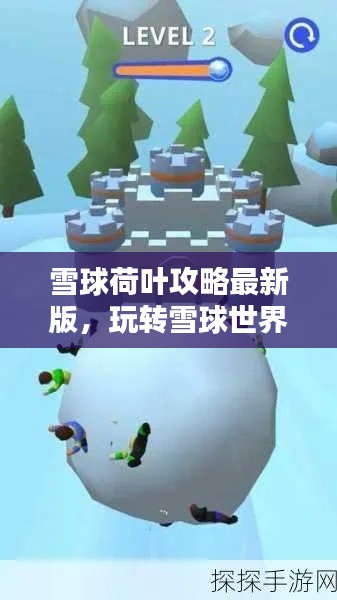 雪球荷叶攻略最新版，玩转雪球世界的终极指南