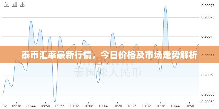 泰币汇率最新行情，今日价格及市场走势解析