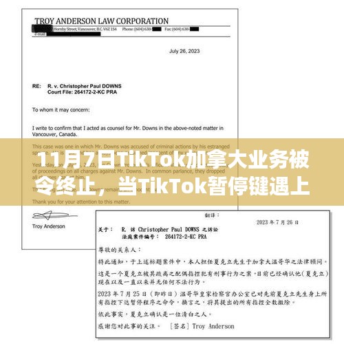 TikTok加拿大业务暂停背后的暖心故事，断网之际的善意连结