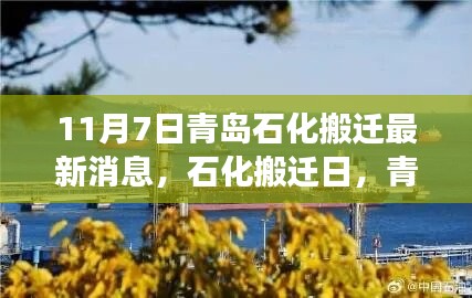 青岛石化搬迁最新动态，启程新旅程，探寻自然美景的内心平静之旅