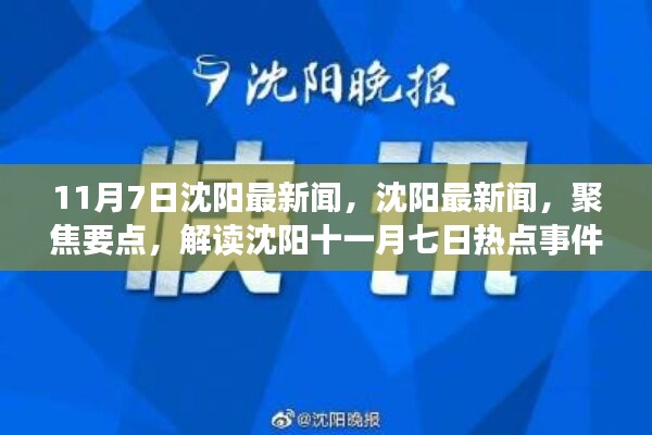 沈阳热点事件解读，聚焦十一月七日最新新闻