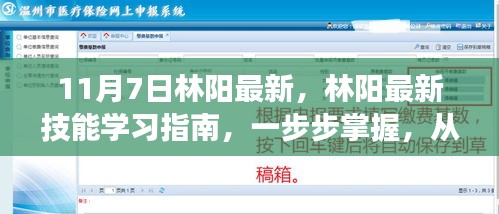 林阳最新技能学习指南，从零起步，掌握林阳最新技能（11月7日更新）