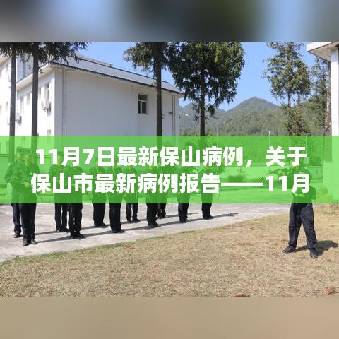 保山市最新病例报告，11月7日疫情分析与分析