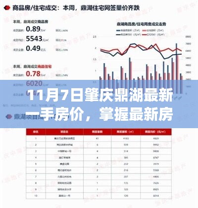 肇庆鼎湖最新房价资讯，掌握一手房价攻略指南（11月7日）