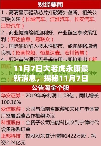 揭秘，大老虎永康最新动态与背后故事曝光（11月7日更新）