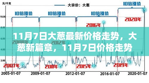 11月7日大葱价格走势揭秘，成长与自信之力的新篇章