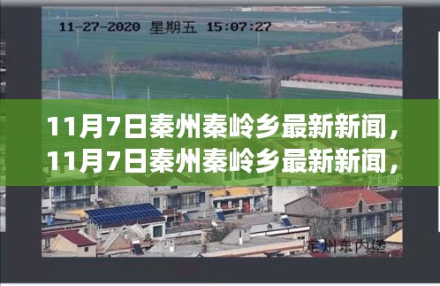 秦州秦岭乡最新发展动态与地方特色全景报道（11月7日更新）