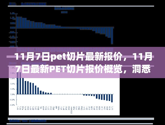 11月7日PET切片最新报价概览，洞悉市场动态