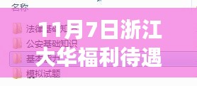 揭秘浙江大华福利待遇内幕，最新动态与深度解读（更新至11月7日）